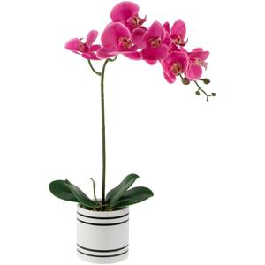 Northlight Real Touch(tm) Artificial Orchid Potted Plant