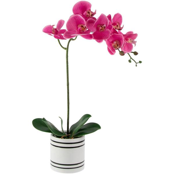 Northlight Real Touch(tm) Artificial Orchid Potted Plant