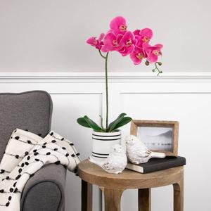 Northlight Real Touch(tm) Artificial Orchid Potted Plant alternate view