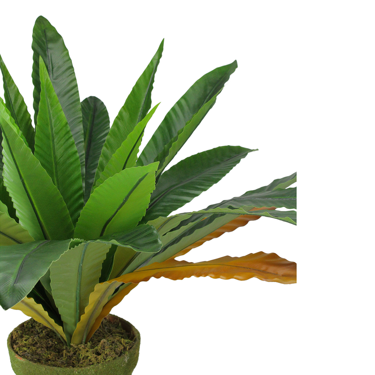 Northlight Seasonal 22 Artificial Bird Nest Fern Potted Plant