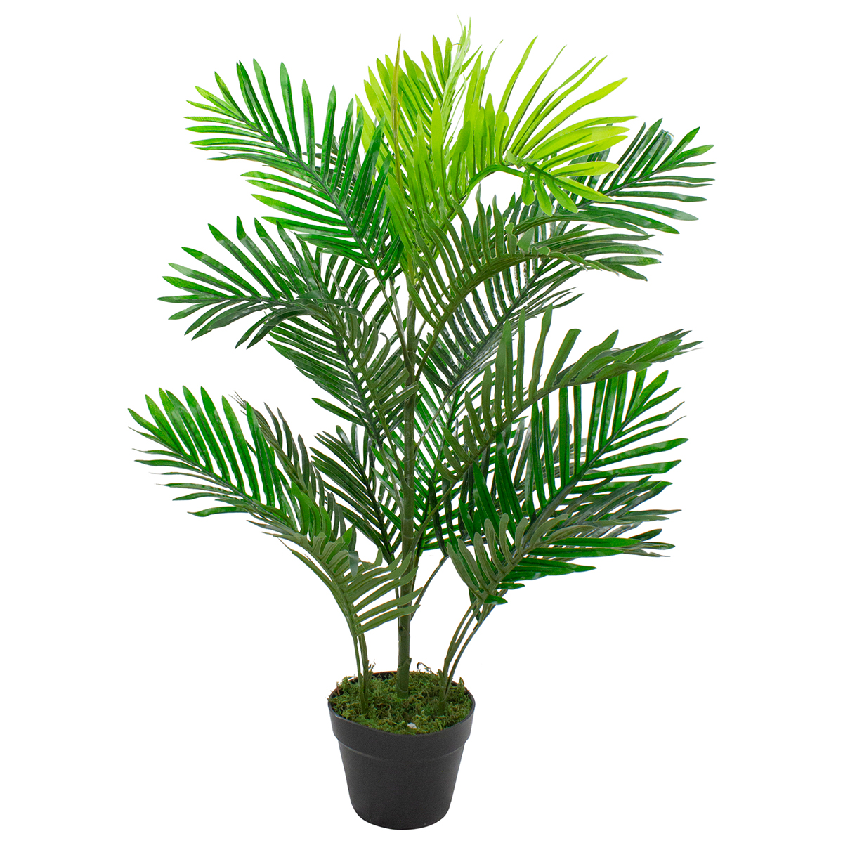 Northlight Seasonal 40 Artificial Tropical Mini Palm Potted Tree