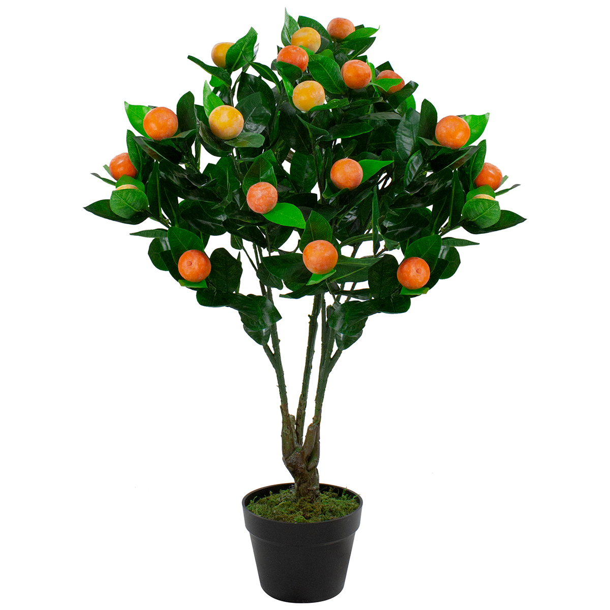 Northlight Seasonal 31 Artificial Citrus Mitis Potted Tree