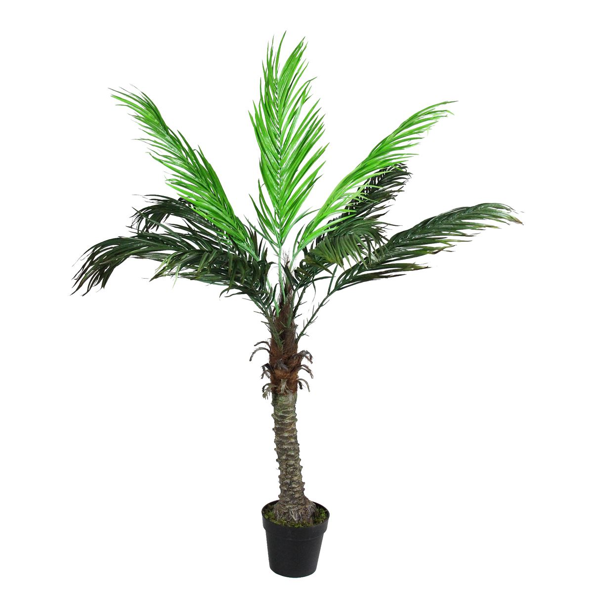 Northlight Seasonal 58.5in. Artificial Phoenix Palm Tree