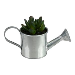Northlight 6 Mini Artificial Succulent in Watering Can