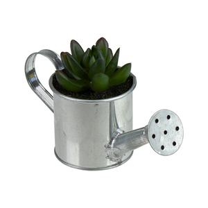 Northlight 6 Mini Artificial Succulent in Watering Can alternate view