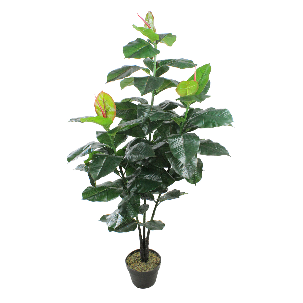 Northlight Seasonal 51in. Unlit Artificial Potted Plant