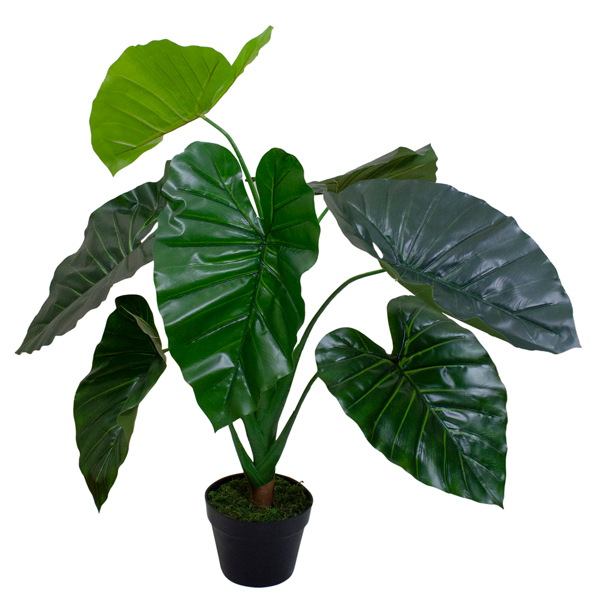 Northlight Seasonal 40 Artificial Taro Potted Plant