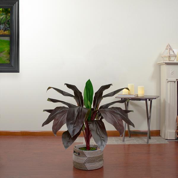 Northlight Real Touch(tm) Red and Green Artificial Dracaena Potted