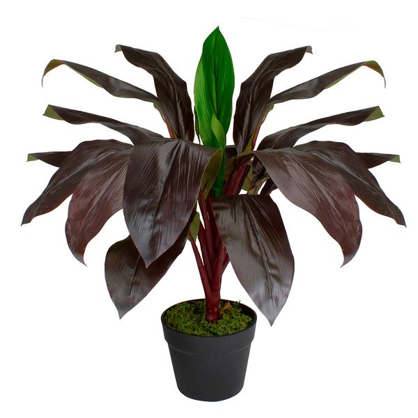 Northlight Real Touch(tm) Red and Green Artificial Dracaena Potted alternate view
