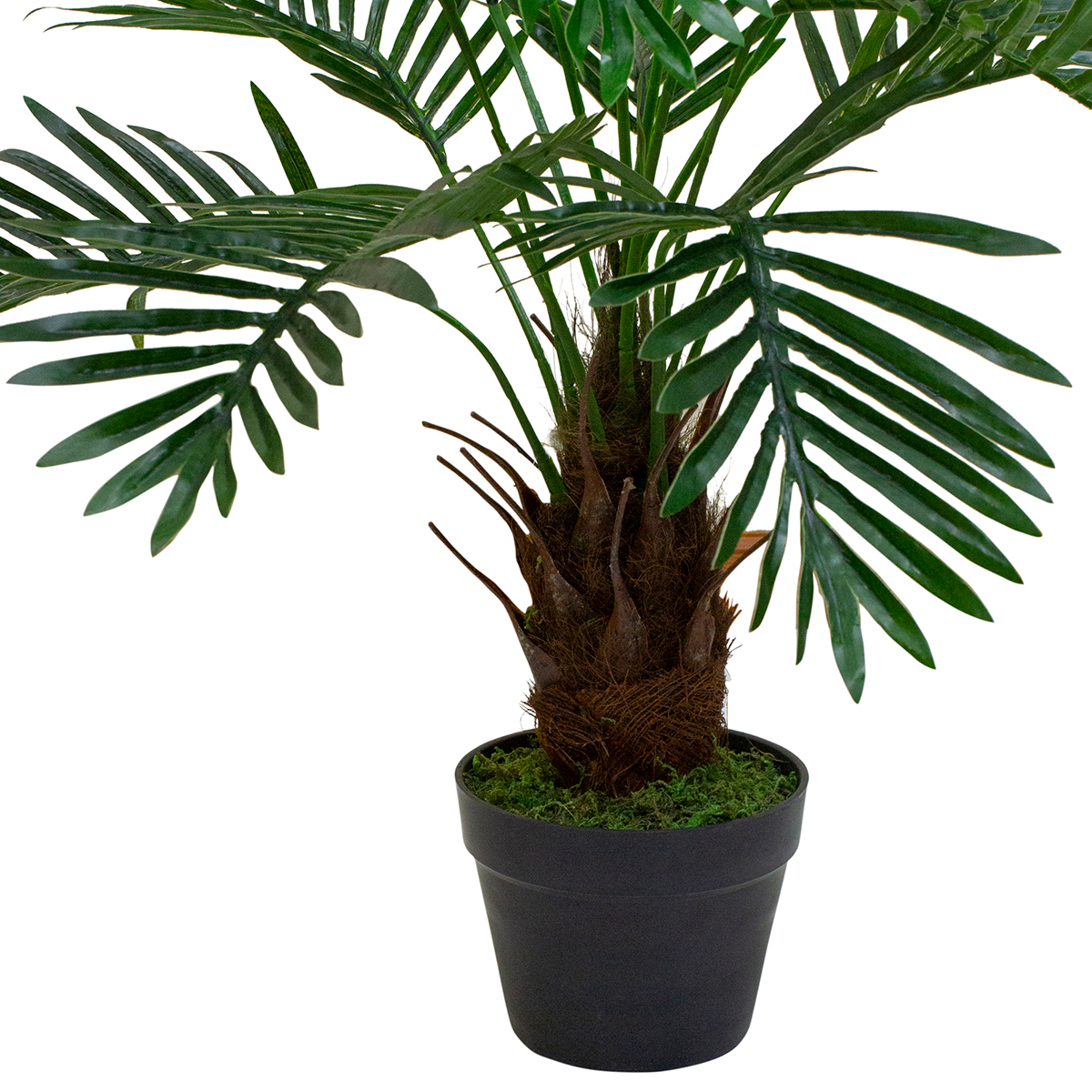 Northlight Seasonal 35in. Artificial Miniature Potted Palm Plant