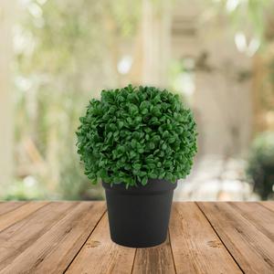 Northlight Artificial Boxwood Ball Topiary in Round Pot alternate view