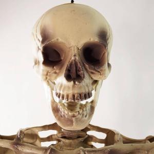 Northlight 5ft. Life Size Skeleton Halloween Decoration alternate view