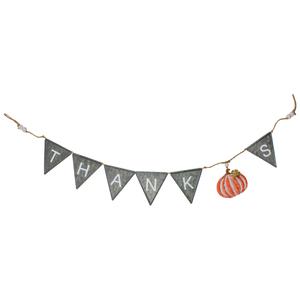 Northlight Thanks Decorative Banner