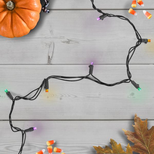 Northlight 50ct. Multi Color Holiday Lights alternate view