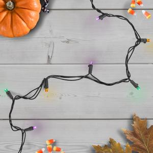 Northlight 50ct. Multi Color Holiday Lights alternate view