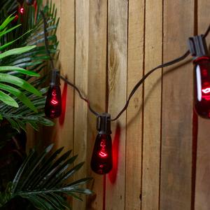 Northlight 10ct. Purple Edison Halloween Light Set alternate view
