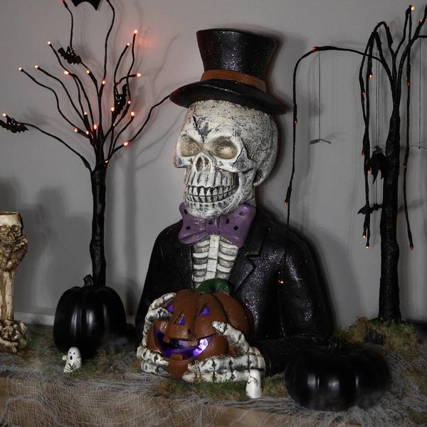 Northlight LED Skeleton & Jack-O-Lantern Halloween Decor alternate view