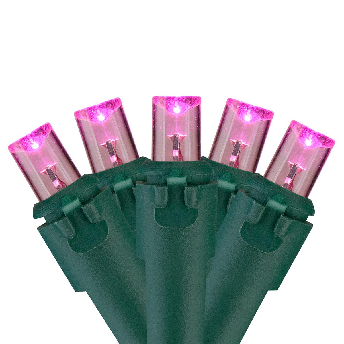 Sienna 60 Pink LED Wide Angle Christmas Lights