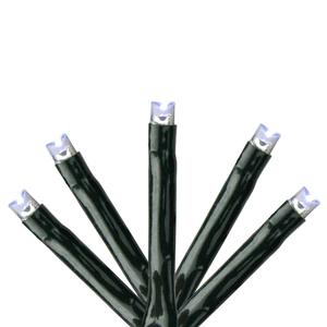 Kaemingk 283ct. Cool White LED 8-Function Twinkle Glow Lights
