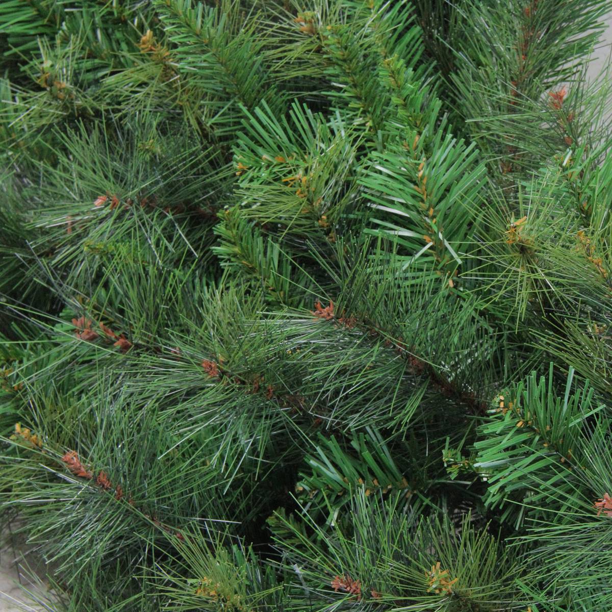 Northlight Seasonal 60in. Artificial Canyon Pine Christmas Wreath