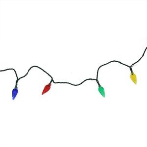 Northlight 4ft. Multi-Color C6 LED Christmas Lights alternate view