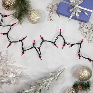 Northlight 7ft. Purple Christmas Light Set - Black Wire alternate view