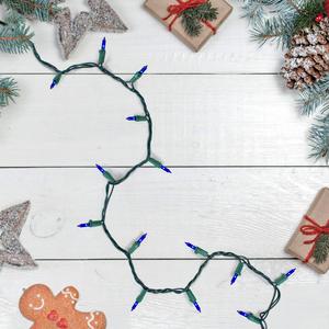 Northlight 10ft. Blue Mini Christmas Light Set alternate view