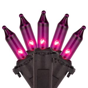 Northlight 100ct. 20.25ft. Incandescent Christmas Lights