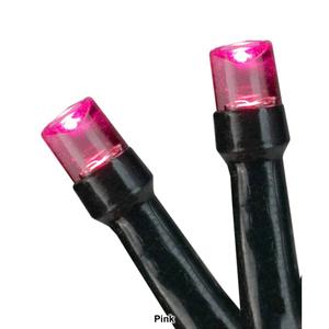 Northlight 20ct. LED Wide Angle Holiday Lights alternate view