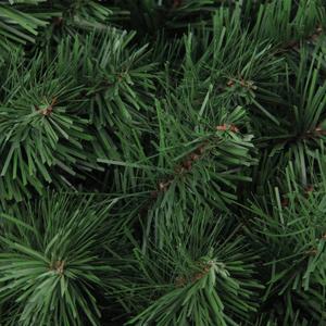 Northlight Colorado Spruce Artificial Christmas Wreath alternate view