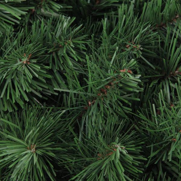 Northlight Colorado Spruce Artificial Christmas Wreath alternate view