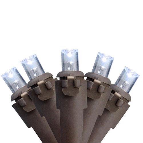 Northlight 50ct. Concave Christmas Lights