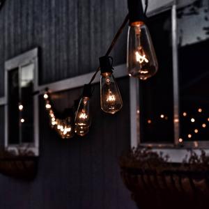 Northlight 10 Clear Edison Style Glass Christmas Lights alternate view