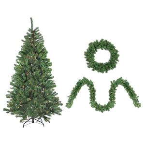 Northlight 4pc. Pre-Lit Artificial Winter Spruce Set