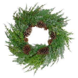 Northlight 26in. Frosted Artificial Christmas Wreath