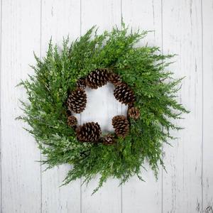 Northlight 26in. Frosted Artificial Christmas Wreath alternate view
