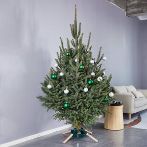 Northlight Metal & Wood Live Christmas Tree Stand alternate view