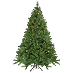 Northlight 6.5ft. Pre-Lit Chatham Pine Christmas Tree