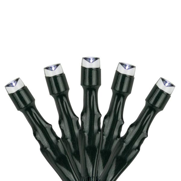 Northlight 100ct. LED Solar Power Mini Christmas Lights