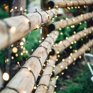 Northlight 100ct. LED Solar Power Christmas Lights alternate view