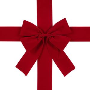 Northlight 14in. Classic Red Velvet Christmas Door Bow
