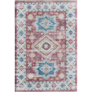 Rugs America(tm) Iggi Righteous Rosie Transitional Vintage Area Rug