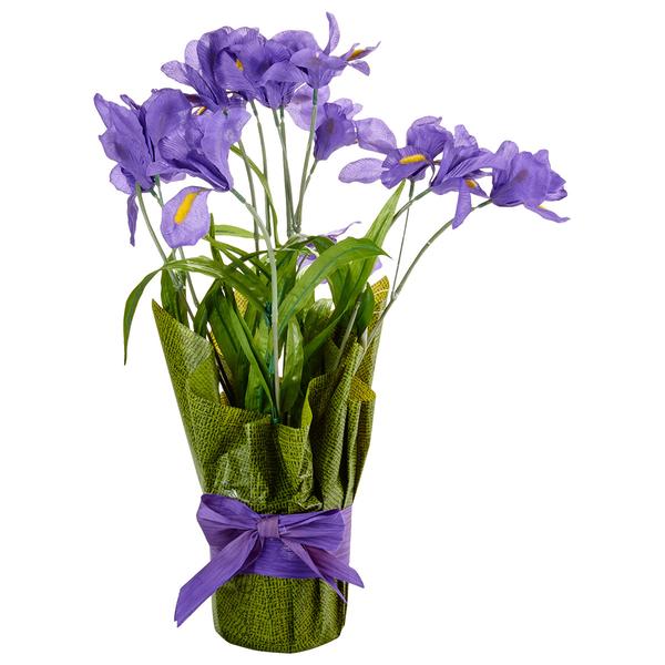 Life-Like Artificial Iris
