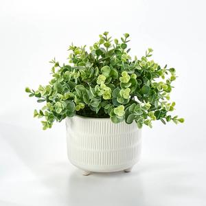 Artificial Eucalyptus Plant