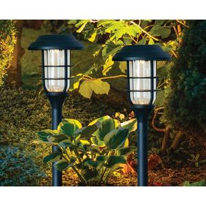 LED Solar-Powered 16.5in. Lawn Stake Light alternate view