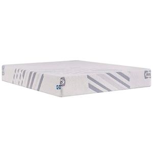 Sealy Plush 10in. Medium Foam Bed in Box Mattress