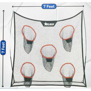 Player All Sports Net