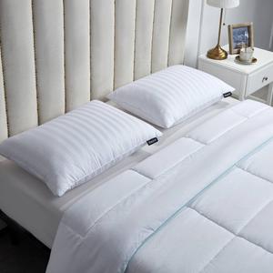 Beautyrest(R) Medium Firm 500TC 2pk. Goose Feather Down Pillow alternate view