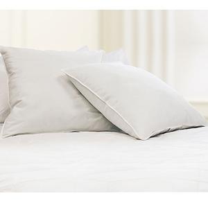 Feather Euro Square 26x26 Pillows (2 Pack)