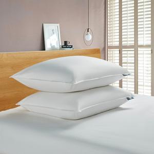 Serta(R) 233 TC Goose Feather Down Fiber Back Sleeper Pillows
